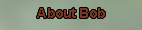 About Bob Ragland